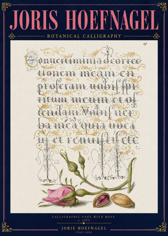 Joris Hoefnagel Calligraphic Page with Rose No4 - Poszter
