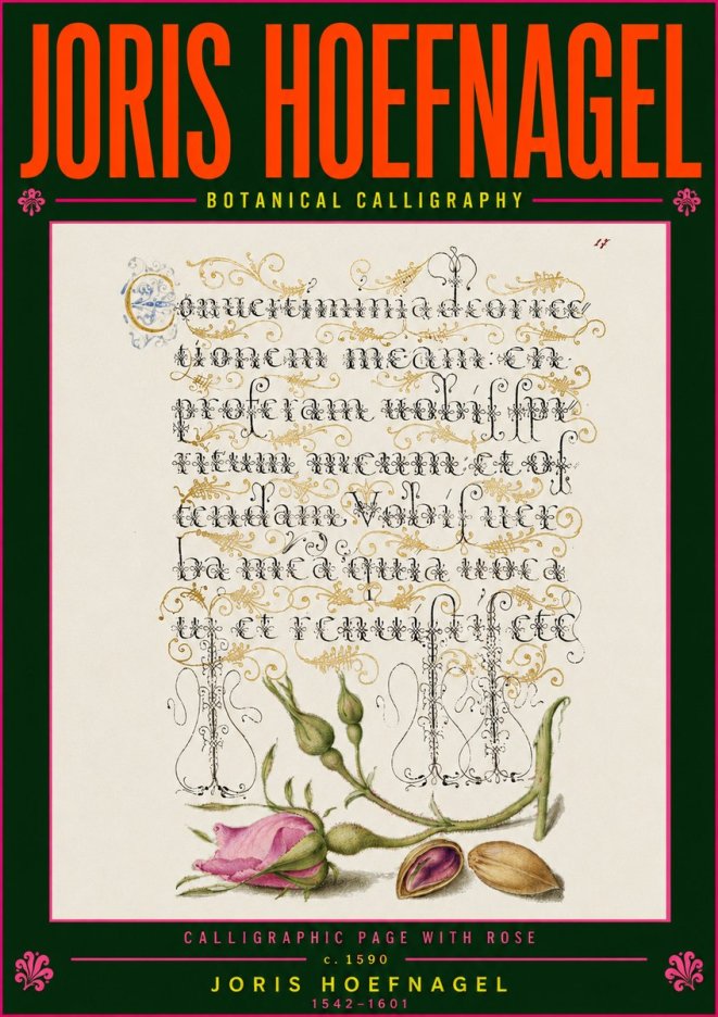 Joris Hoefnagel Calligraphic Page with Rose No5 - Poszter