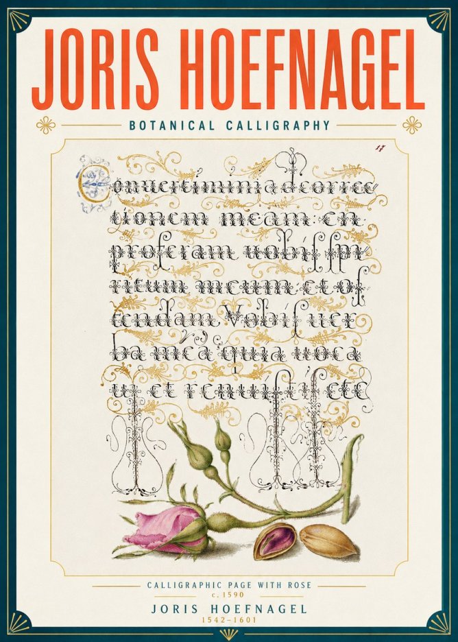 Joris Hoefnagel Calligraphic Page with Rose No6 - Poszter