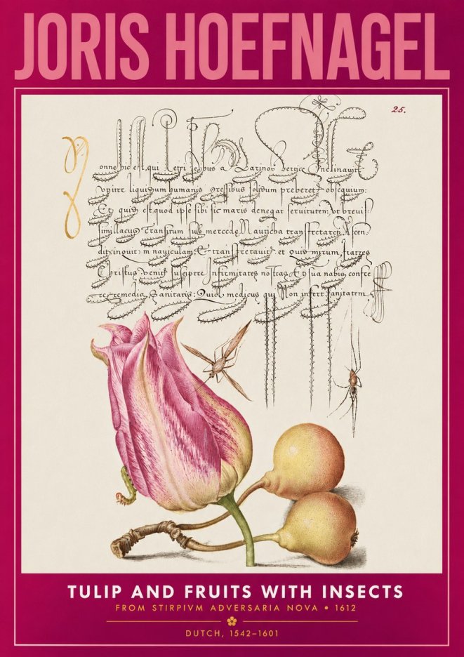 Joris Hoefnagel Tulip and Fruits with Insects No2 - Poszter