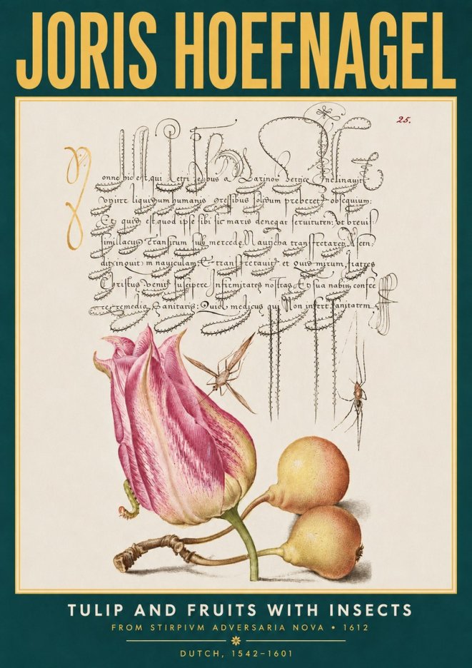 Joris Hoefnagel Tulip and Fruits with Insects No3 - Poszter