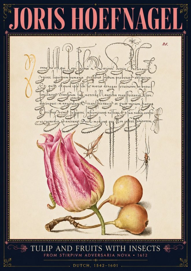 Joris Hoefnagel Tulip and Fruits with Insects No4 - Poszter