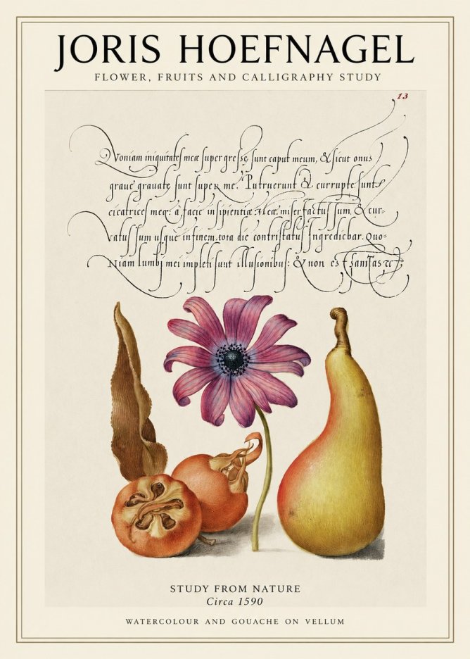 Joris Hoefnagel Study of Flower and Fruits No2 - Poszter