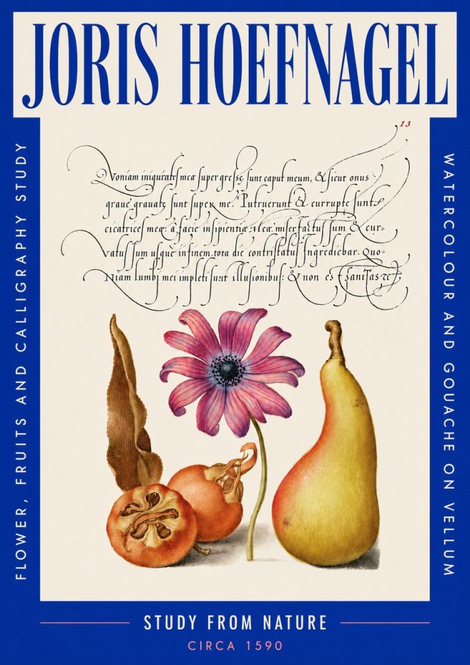 Joris Hoefnagel Study of Flower and Fruits No5 - Poszter
