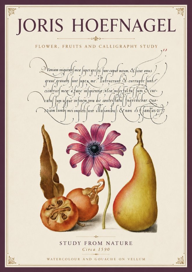 Joris Hoefnagel Study of Flower and Fruits No6 - Poszter
