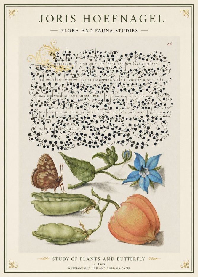 Joris Hoefnagel Study of Plants and Butterfly No1 - Poszter