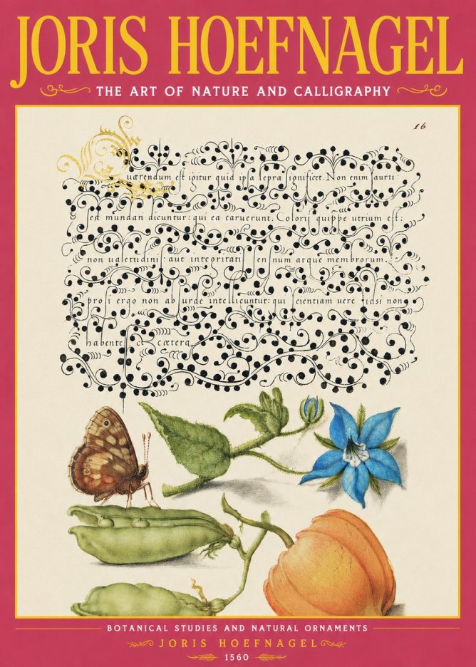 Joris Hoefnagel Study of Plants and Butterfly No4 - Poszter