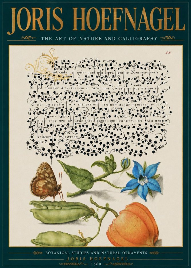 Joris Hoefnagel Study of Plants and Butterfly No5 - Poszter
