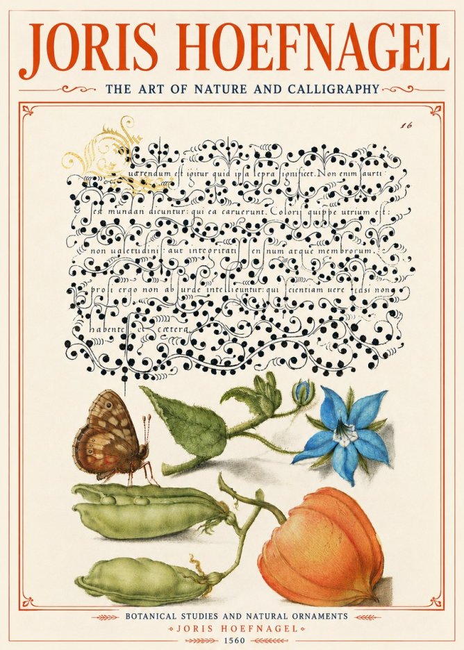 Joris Hoefnagel Study of Plants and Butterfly No6 - Poszter