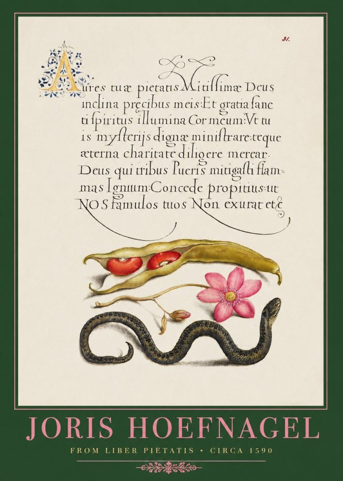 Joris Hoefnagel Prayer for Divine Grace No2 - Poszter