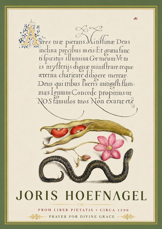 Joris Hoefnagel Prayer for Divine Grace No5 - Poszter