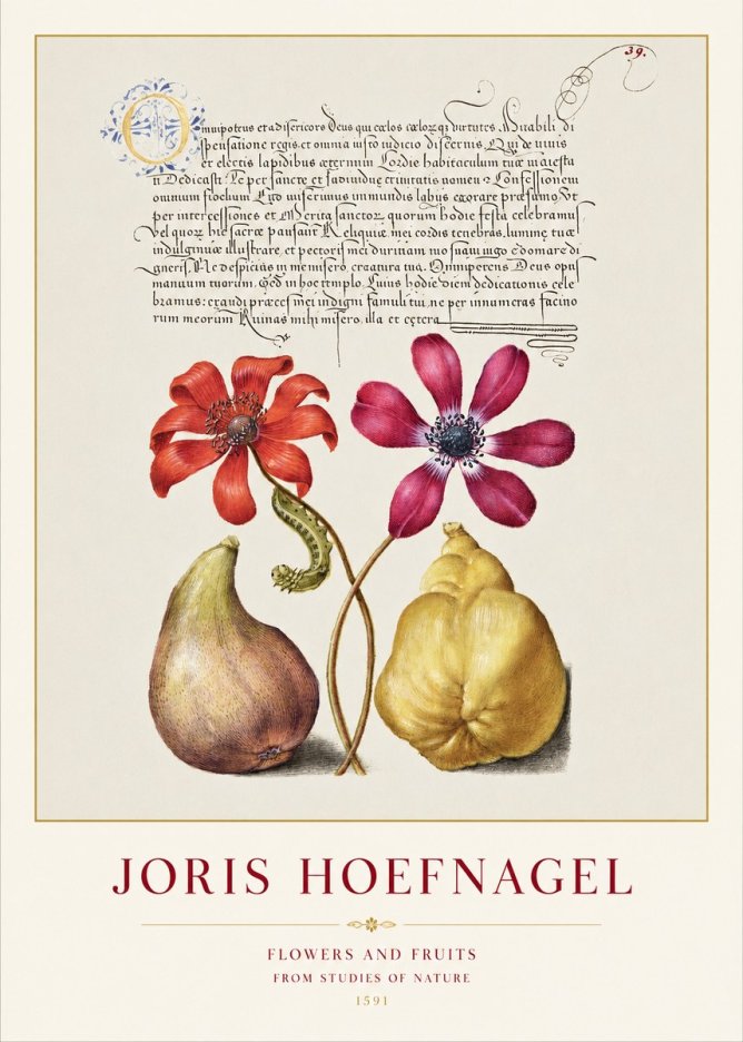 Joris Hoefnagel Flowers and Fruits No1 - Poszter