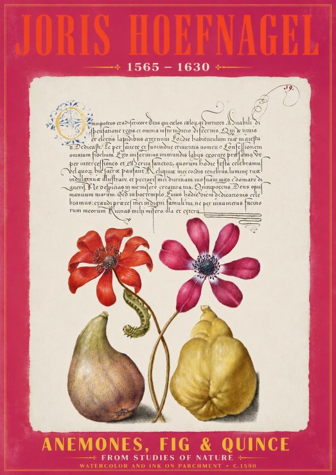 Joris Hoefnagel Flowers and Fruits No3 - Poszter