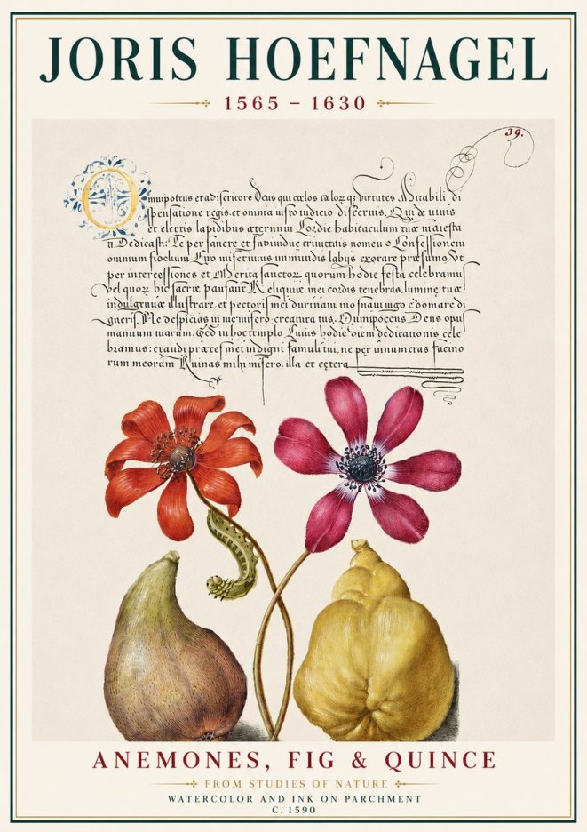 Joris Hoefnagel Flowers and Fruits No4 - Poszter
