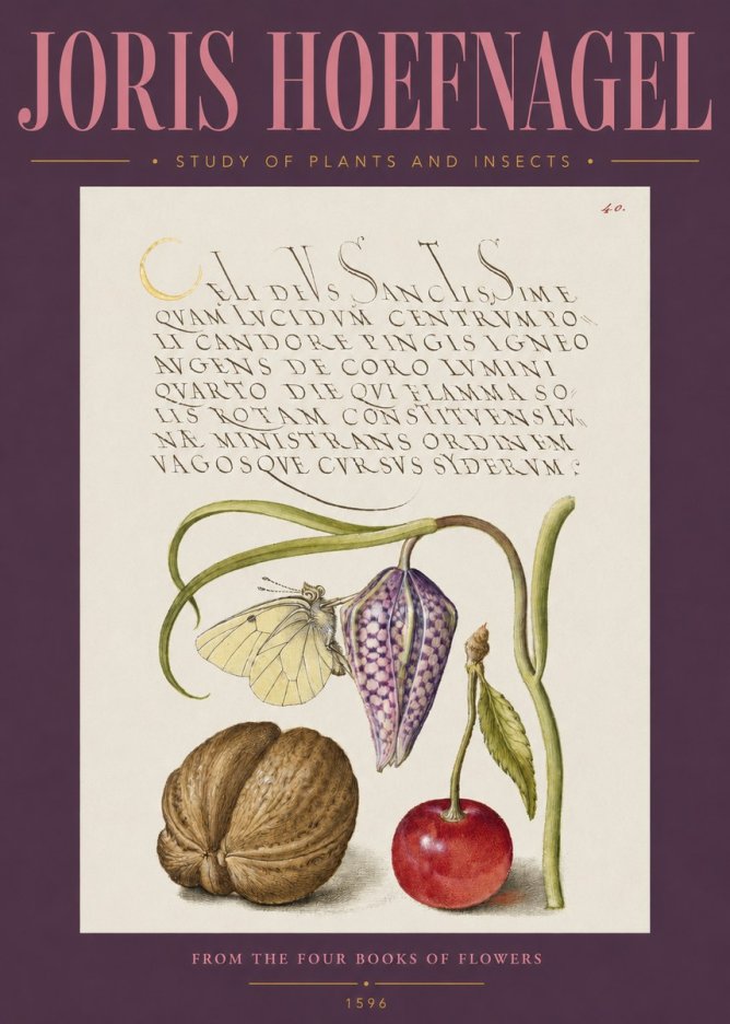 Joris Hoefnagel Study of Plants and Insects No2 - Poszter