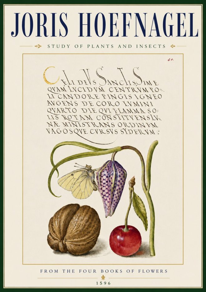 Joris Hoefnagel Study of Plants and Insects No5 - Poszter