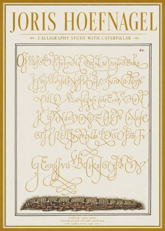 Joris Hoefnagel Calligraphy Study with Caterpillar No1 - Poszter