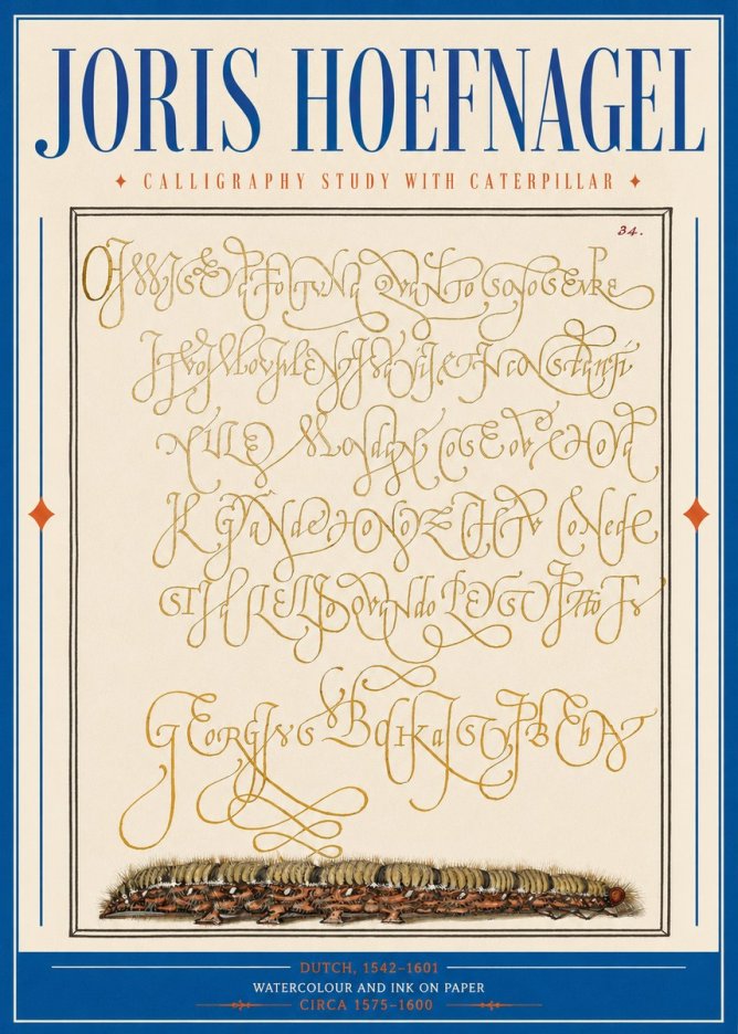 Joris Hoefnagel Calligraphy Study with Caterpillar No2 - Poszter