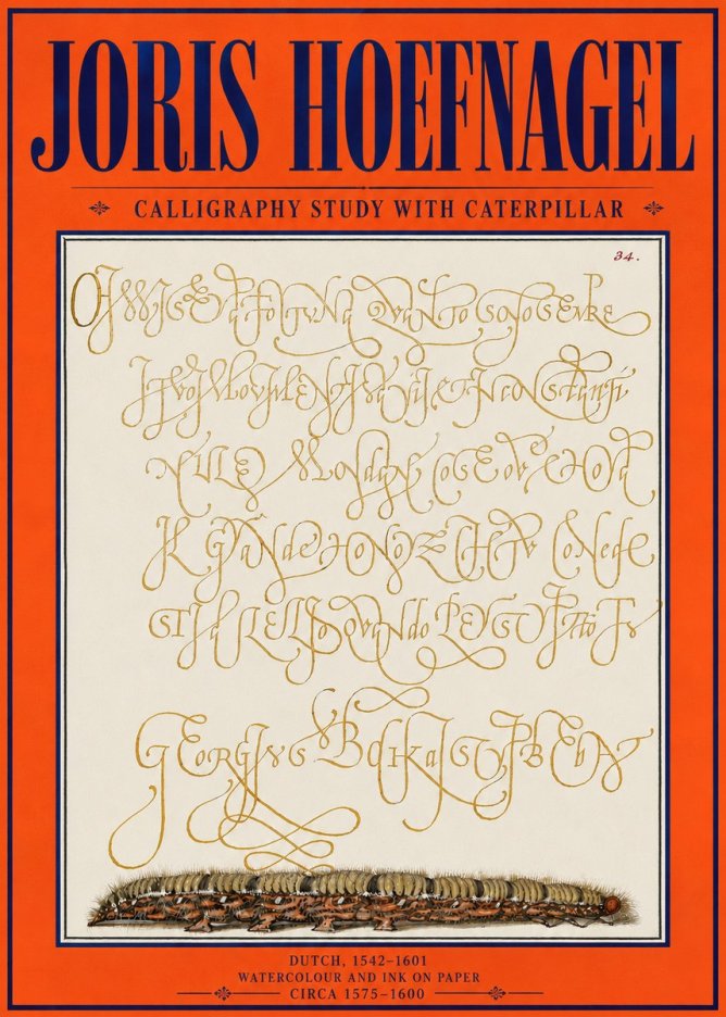 Joris Hoefnagel Calligraphy Study with Caterpillar No4 - Poszter