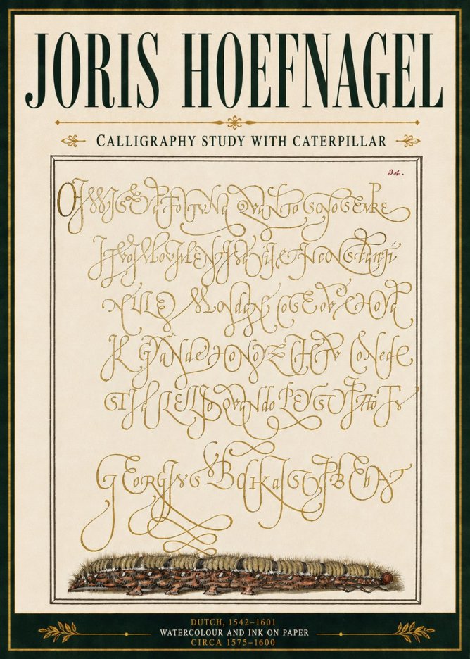 Joris Hoefnagel Calligraphy Study with Caterpillar No5 - Poszter