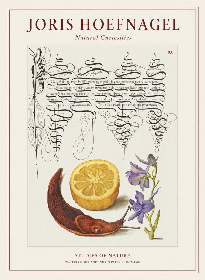 Joris Hoefnagel Studies of Nature No1 - Poszter