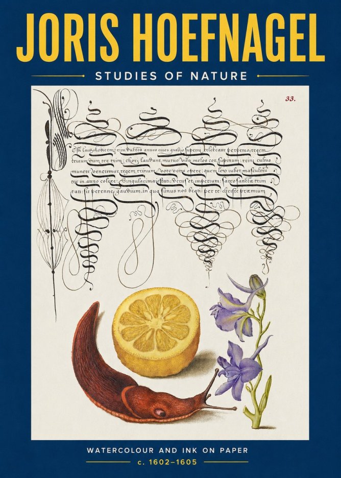 Joris Hoefnagel Studies of Nature No2 - Poszter