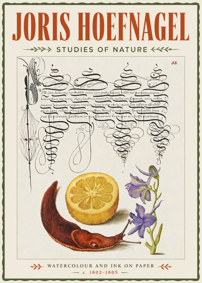 Joris Hoefnagel Studies of Nature No4 - Poszter