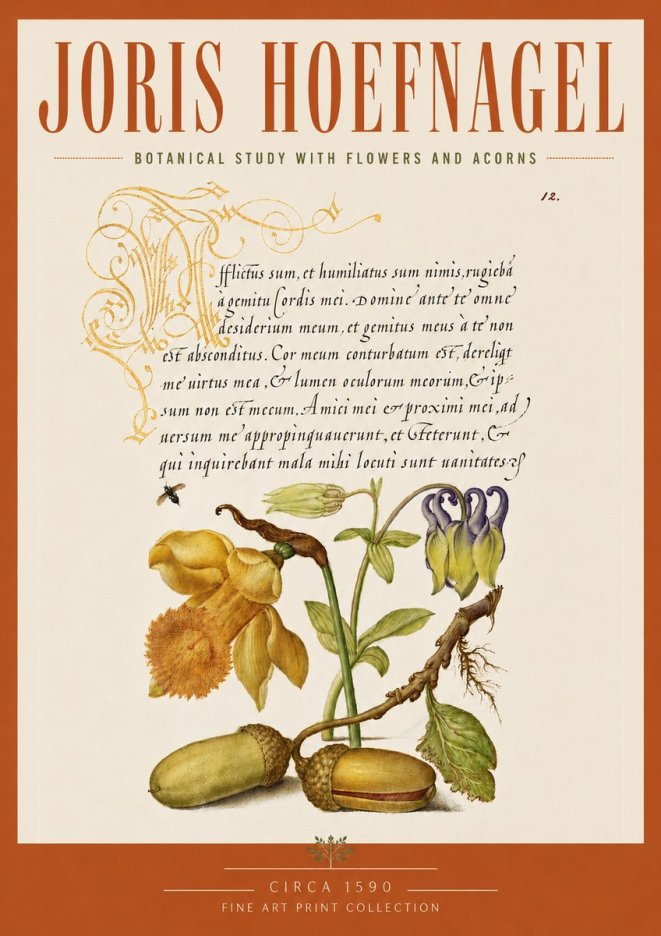 Joris Hoefnagel Illuminated Manuscript with Flowers and Acorns No5 - Poszter
