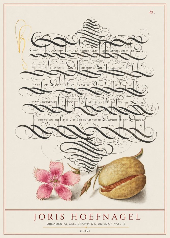 Joris Hoefnagel Ornamental Calligraphy & Studies of Nature No1 - Poszter