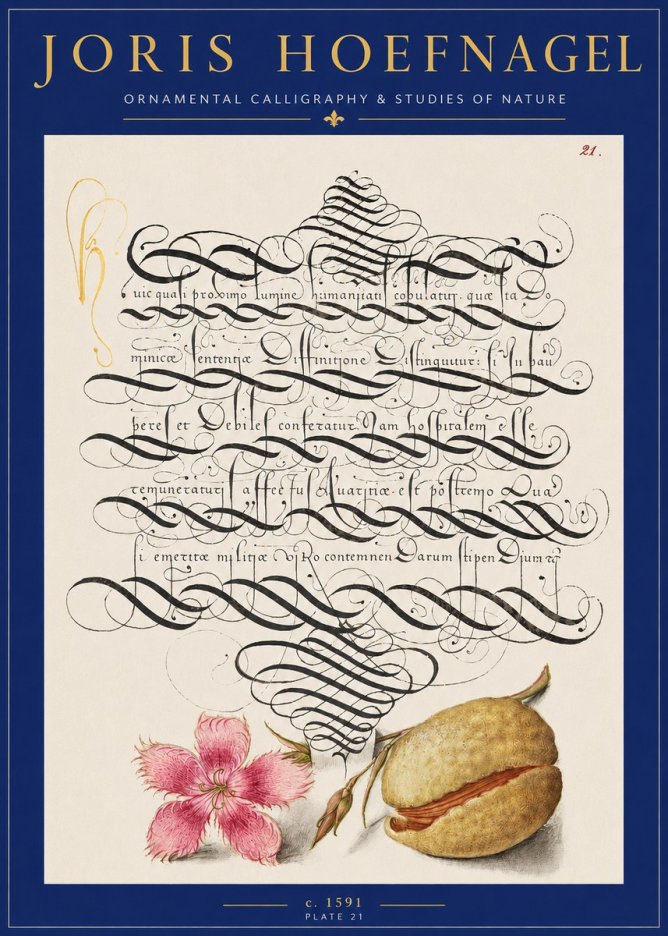 Joris Hoefnagel Ornamental Calligraphy & Studies of Nature No2 - Poszter