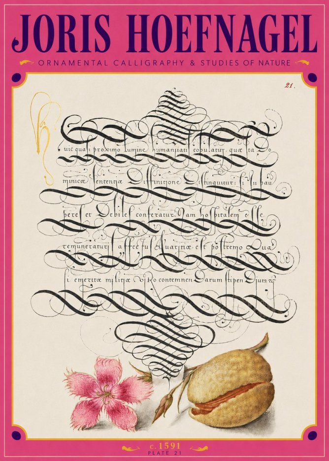 Joris Hoefnagel Ornamental Calligraphy & Studies of Nature No3 - Poszter