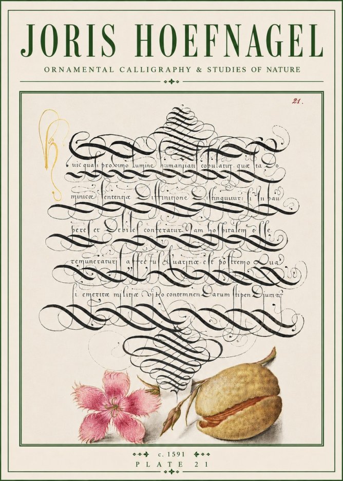 Joris Hoefnagel Ornamental Calligraphy & Studies of Nature No4 - Poszter