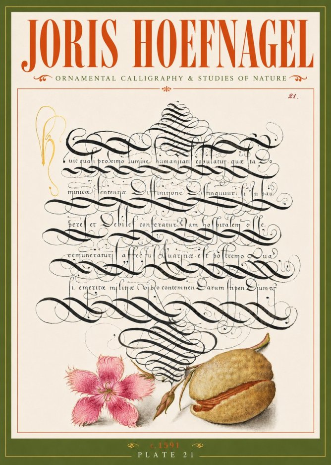 Joris Hoefnagel Ornamental Calligraphy & Studies of Nature No6 - Poszter