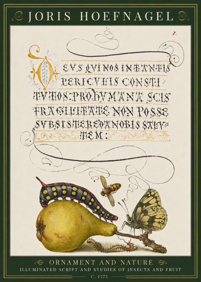 Joris Hoefnagel Ornament and Nature - Illuminated Script and Studies of Insects and Fruit No1 - Poszter