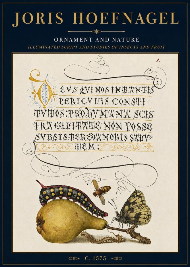 Joris Hoefnagel Ornament and Nature - Illuminated Script and Studies of Insects and Fruit No3 - Poszter