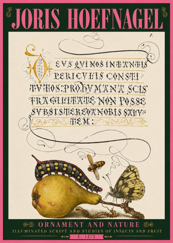 Joris Hoefnagel Ornament and Nature - Illuminated Script and Studies of Insects and Fruit No4 - Poszter