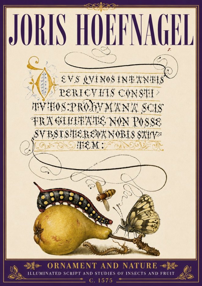 Joris Hoefnagel Ornament and Nature - Illuminated Script and Studies of Insects and Fruit No6 - Poszter
