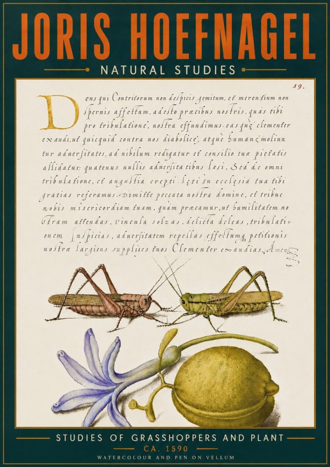 Joris Hoefnagel Studies of Grasshoppers and Plant No6 - Poszter