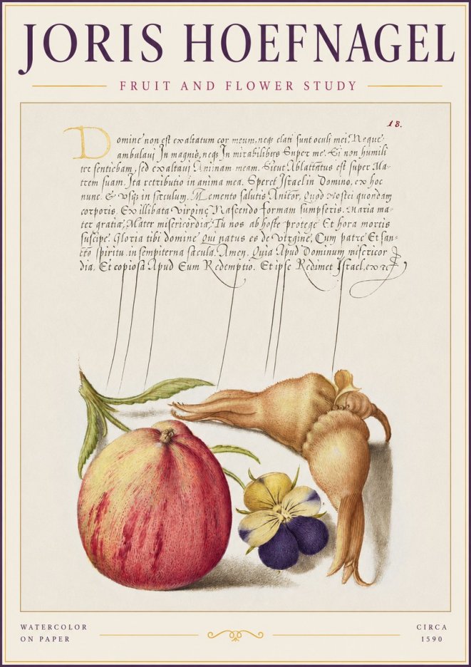 Joris Hoefnagel Fruit and Flower Study No2 - Poszter