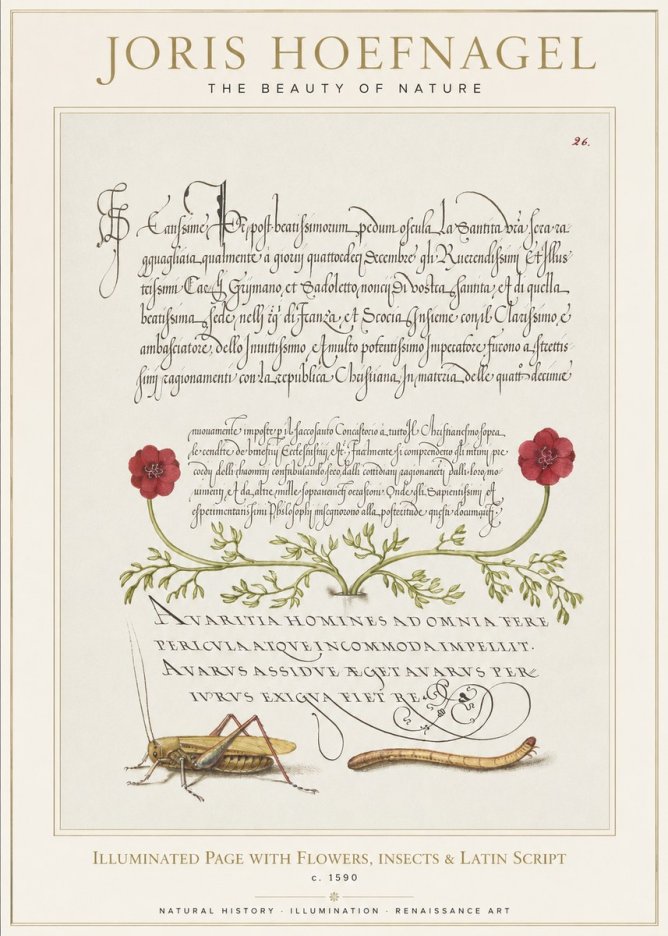 Joris Hoefnagel Illuminated Page with Flowers, Insects & Latin Script No1 - Poszter
