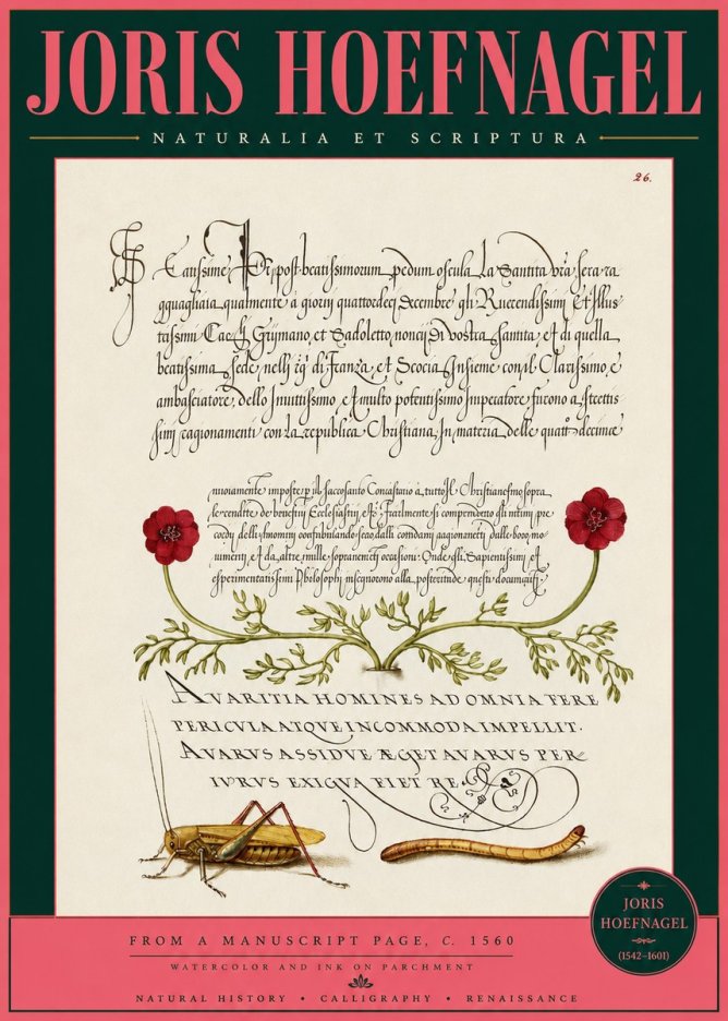 Joris Hoefnagel Illuminated Page with Flowers, Insects & Latin Script No3 - Poszter