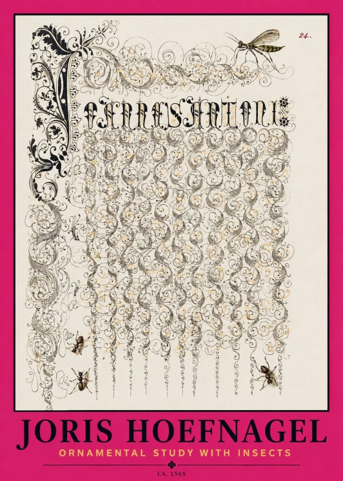 Joris Hoefnagel Ornamental Study with Insects No2 - Poszter