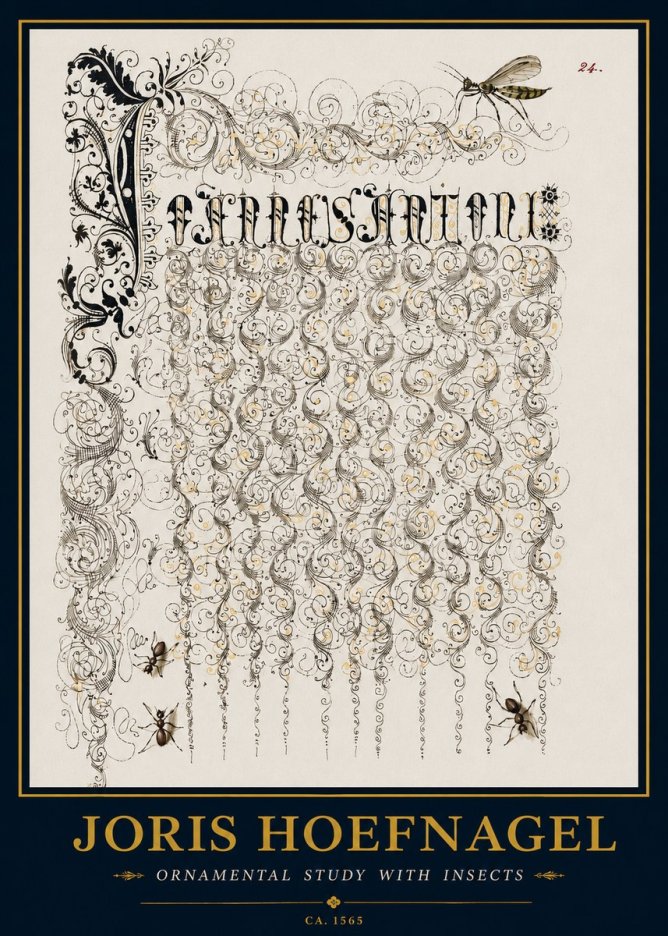 Joris Hoefnagel Ornamental Study with Insects No3 - Poszter