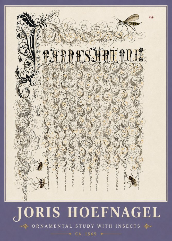 Joris Hoefnagel Ornamental Study with Insects No6 - Poszter