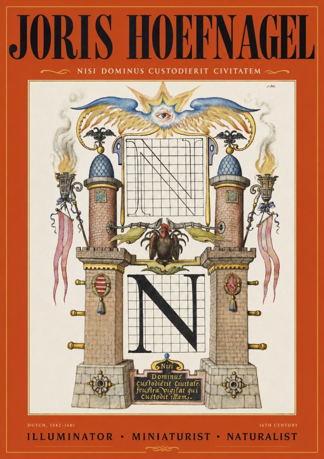 Joris Hoefnagel The Letter N No3 - Poszter