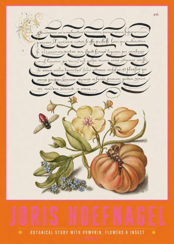 Joris Hoefnagel Botanical Study with Pumpkin, Flowers & Insect No2 - Poszter