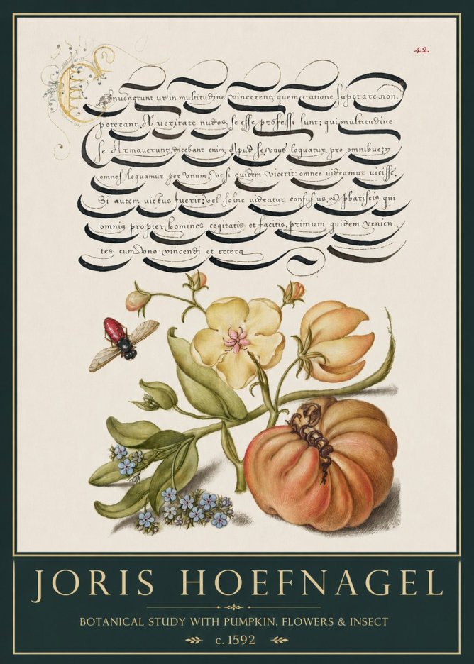Joris Hoefnagel Botanical Study with Pumpkin, Flowers & Insect No3 - Poszter
