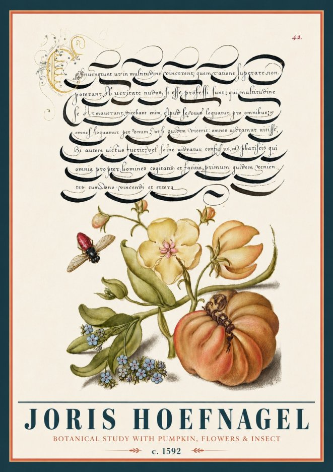 Joris Hoefnagel Botanical Study with Pumpkin, Flowers & Insect No5 - Poszter