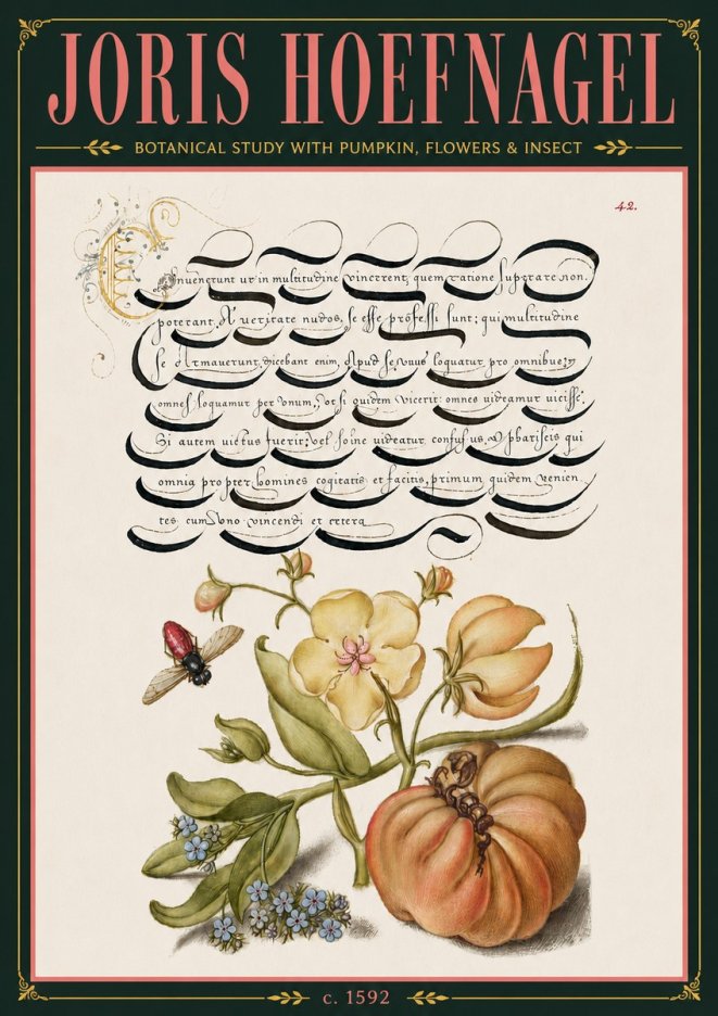 Joris Hoefnagel Botanical Study with Pumpkin, Flowers & Insect No6 - Poszter