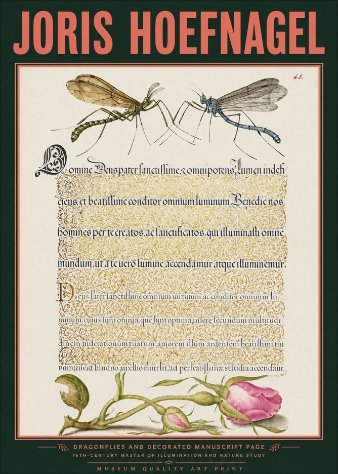 Joris Hoefnagel Dragonflies and Decorated Manuscript Page No3 - Poszter